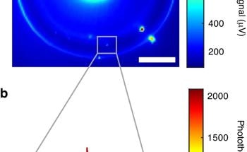Microtoroid Resonators Enhance Quantum Dot Detection