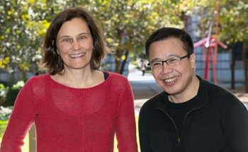 Uncovering Complex Electron Interactions