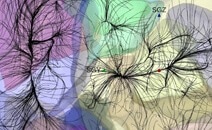 A New Perspective on Cosmic Home