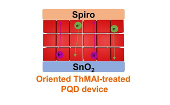 Short Ligands Enhance Perovskite Quantum Dot Solar Cell Performance and Lifespan