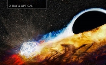 Black Hole Eradicates Star Then Targets Another