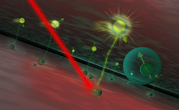 Researchers Discover Light-Based Method for Determining Spin State of Perovskites