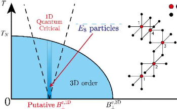 Experimental Realization of Exotic Excitations in Low-Dimensional Quantum Magnets