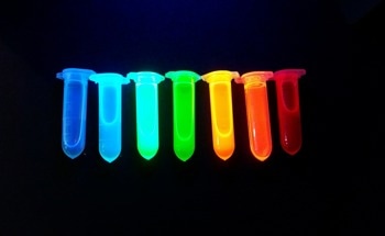 Quantum Dots Boost the Effectiveness of Diabetes Treatment