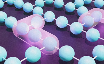 A New Paradigm in Quantum Physics