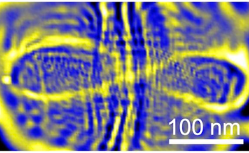Visualization of Quantum Scars in Graphene Reveals Predictable Electron Paths