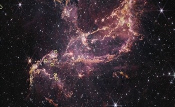 Webb Discovers Persistent Planet-Forming Disks in the Early Universe