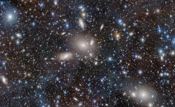 Unveiling Galactic Diversity with the Dark Energy Camera