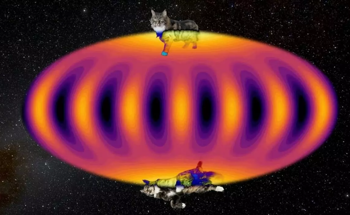 Successful Demonstration of a Quantum Thought Experiment