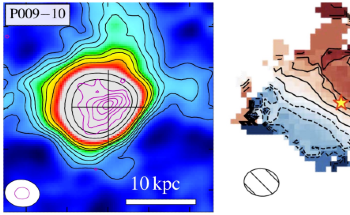Flat Rotation Curves in Distant Galaxies Reveal High Dark Matter Content