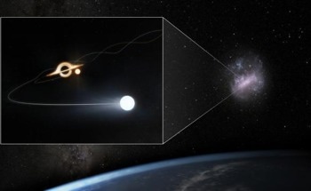 Extragalactic Supermassive Black Hole Detected Through Hypervelocity Star Mapping