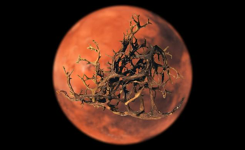 A Step Towards Life on Mars? Lichens Survive Martian Simulation in New Study