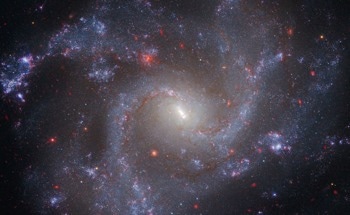 Challenging the Big Bang: A Multi-Singularity Origin for the Universe