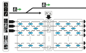 Quantum Machine Learning in Forensic and Medical Imaging