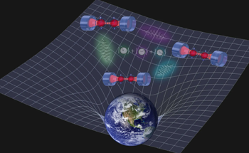 Quantum Networks More Adaptable Than Expected