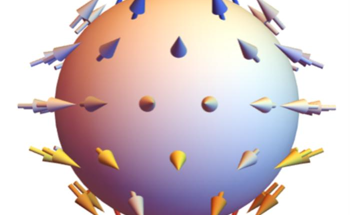 Quantum Field Theory Guides Discovery of Hidden Topology in Entangled Photons