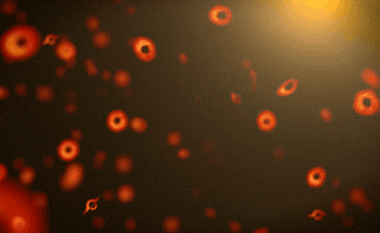 Exploding Black Holes Catalog the Subatomic Universe