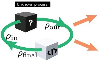Scaling Quantum Process Tomography for Complex Systems