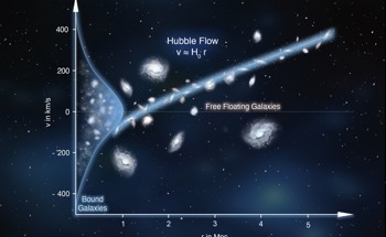 Decoding the Dynamics of the Nearest Galaxy Groups