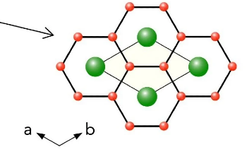 Discovery of New Quantum Phase Mimics Liquid Crystal Behavior