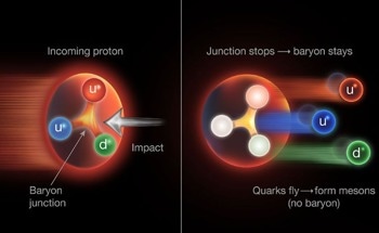 New Collider Results Show Gluons, Not Quarks, Transport Net Baryon Number in Collisions