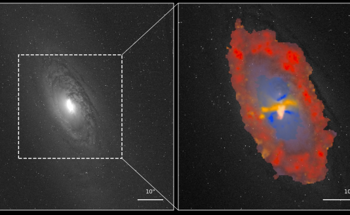 Active Supermassive Black Holes Actually Trigger Star Formation in Nearby Galaxies