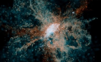 Infant Galaxies Dispersed Carbon and Oxygen Into Early Intergalactic Space, JWST Reveals