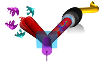Transmitting Multiple Quantum Patterns of Twisted Light Over Legacy Fiber Link