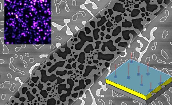 New Platform for Quantum Technologies Could Power Secure Communication