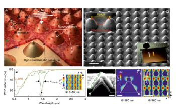 Ultra-Compact Bright Sources Created Based on Mercury Telluride Quantum Dots