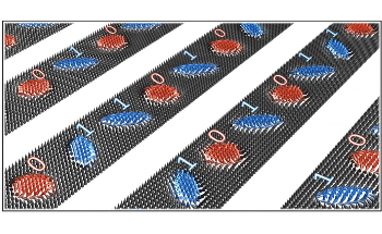 Skyrmions and Antiskyrmions can Expand Data Storage Capacity