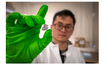 Quantum Phenomenon that Influences Organic Solar Cells