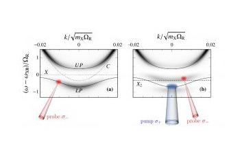 Applying Quantum-Impurity Theory to Quantum Fluids of Light