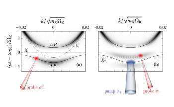 New Method to Observe Quantum Correlations in Exciton-Polariton System