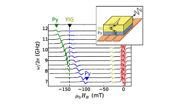 Tapping Properties of Coupled Magnetic Materials for Quantum Applications