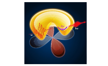 New Insight into the Dynamics of Superconductivity