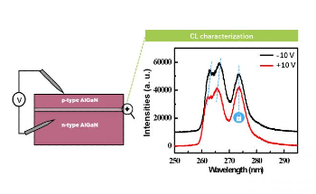 Orbital Intercoupling Plays a Key Role in Materials with Strong Polarization