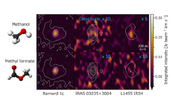 Chemically Rich Young Protoplanetary Disks have Similar Organic Molecule Compositions