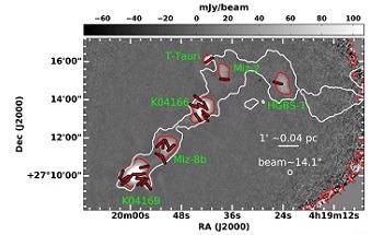 Study Shows Diverse Magnetic Fields in Solar-Type Star-Forming Cores in Taurus B213