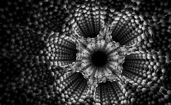 "Layer Hall Effect" Discovered in 2D Topological Axion Antiferromagnet