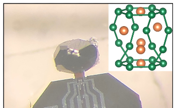 New Metallic Specimen Could Support Electron-Phonon Liquid Phase