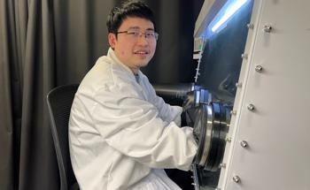 Quantifying Spin in WTe2 for Future Spintronics
