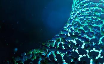 Quantum Anomalous Hall Effect Discovered in a Very Simple Material