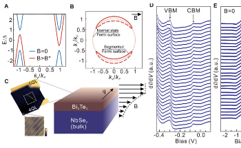Cooper Pair Induced Quasiparticles Form Gapless Superconductor