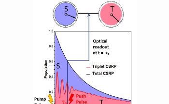 Novel Spectroscopy Method Helps Monitor Spin Evolution in Radical Pairs