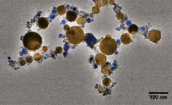 Quantum Dots Enable Better Quantification of Cells in Adipose Tissue