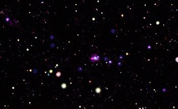 Black Holes in the Spiderweb Galaxy Growing Rapidly