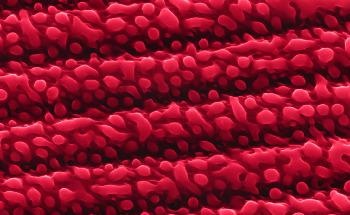 Mutations in Molecules can Arise due to Strange Rules of the Quantum World