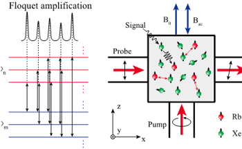 Scientists Analyze Quantum Amplification in Floquet Systems