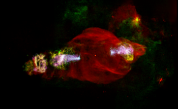 Scientists Locate Hard X-Ray Emission from “Space Manatee”
